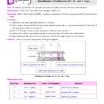 10th Science Practical Book