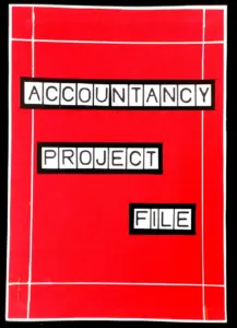 Accountancy Project File Class 12th For 2023 24 Session