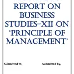 Business Studies Project On Principle Of Management