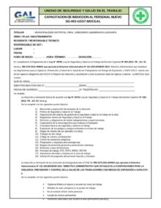 F Nº001 Formato Induccion thumbnail