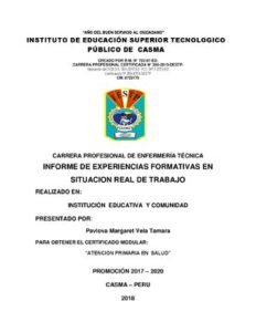 Informe De Experiencias Formativas En Situacion Real De Trabajo Vela Tamara thumbnail