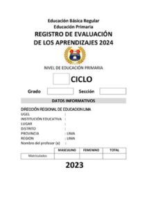 Registro Auxiliar De Evaluacion Primaria 2024 thumbnail