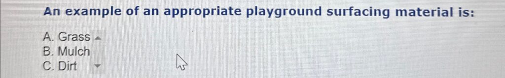 An example of an appropriate playground surfacing material is: A. Grass B. Mulch C. Dirt