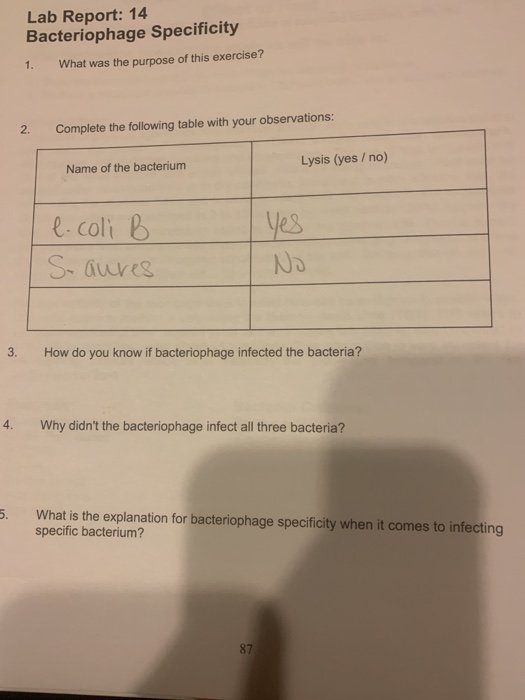 Lab Report: 14 Bacteriophage Specificity 1. What was the purpose of this exercise? 2. Complete the following table with your observations: Name of the bacterium Lysis (yes / no) e.coli B Yes S. aureus No 3. How do you know if bacteriophage infected the bacteria? 4. Why didn't the bacteriophage infect all three bacteria? 5. What is the explanation for bacteriophage specificity when it comes to infecting specific bacterium? 87
